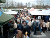 Bild0514