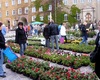 Blumenbeet